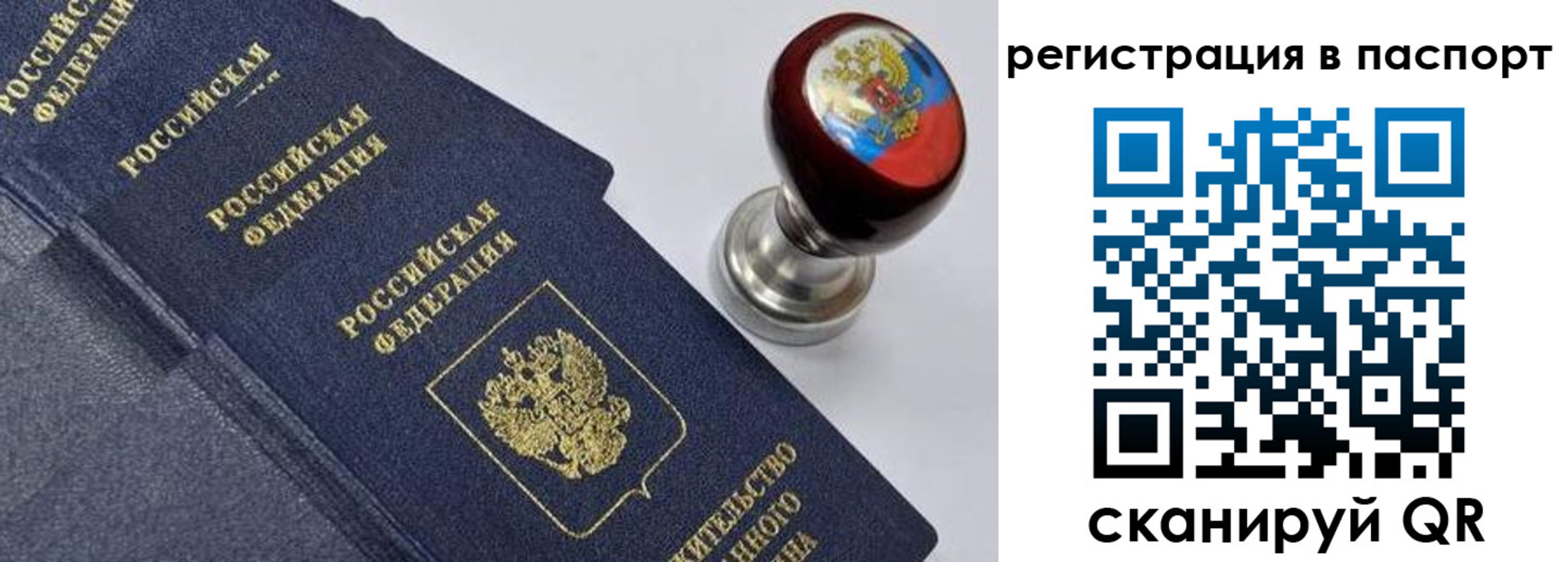 прописка поиск в Владивостоке